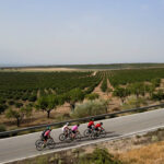 Fietsen langs de amandelbomen