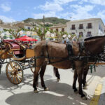 Ezels en wagen in Galera