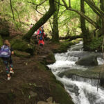 Wandeling langs rivier