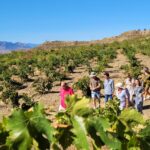 Wandeling wijngaard Vilaplana