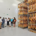 Bezoek aan de hammendrogerij